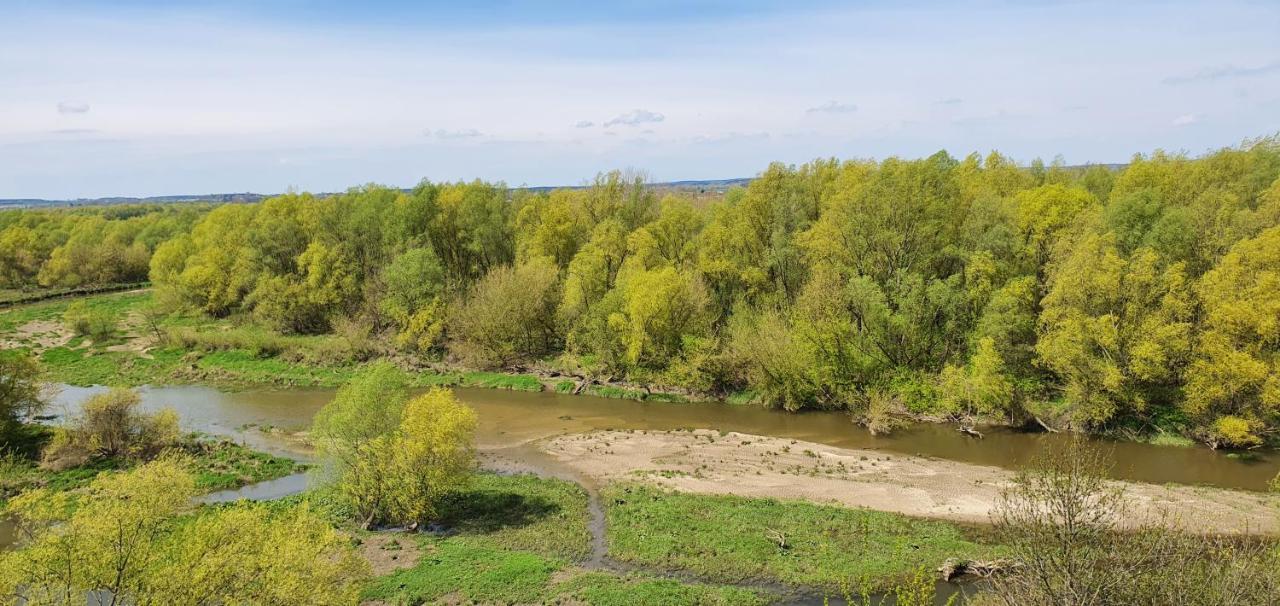 Hotel Bursztynowy Jozefow na Wisla Kültér fotó